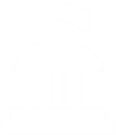 Government and Public Administration icon